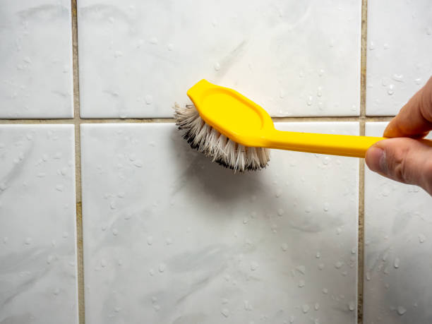 Best Office Mold Removal Services  in Smyrna, DE