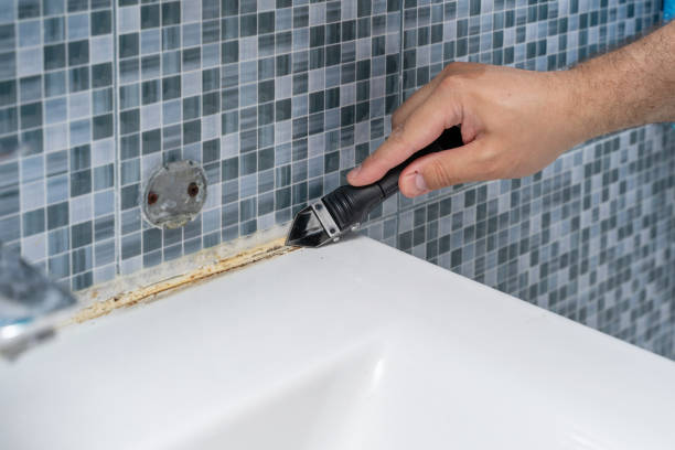 Best Fast Mold Removal  in Smyrna, DE
