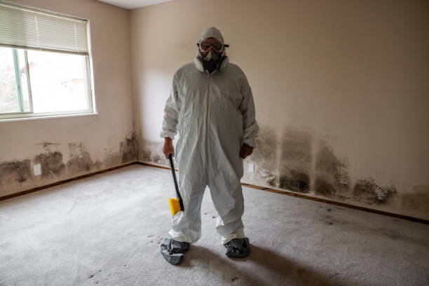 Best Toxic Mold Removal  in Smyrna, DE